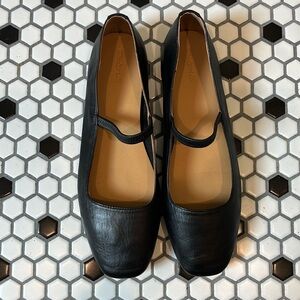 Greta Ballet Flats in Like New Condition!